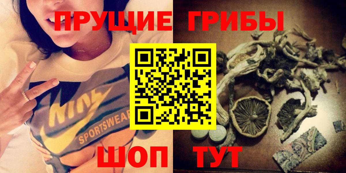 Мценск  купить   Вход с VPN  Галлюциногенные грибы прущие грибы  Псилоцибиновые грибы GOLDEN TEACHER 